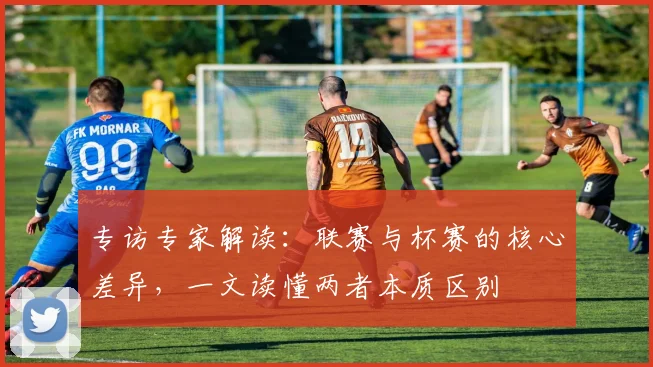 专访专家解读：联赛与杯赛的核心差异，一文读懂两者本质区别